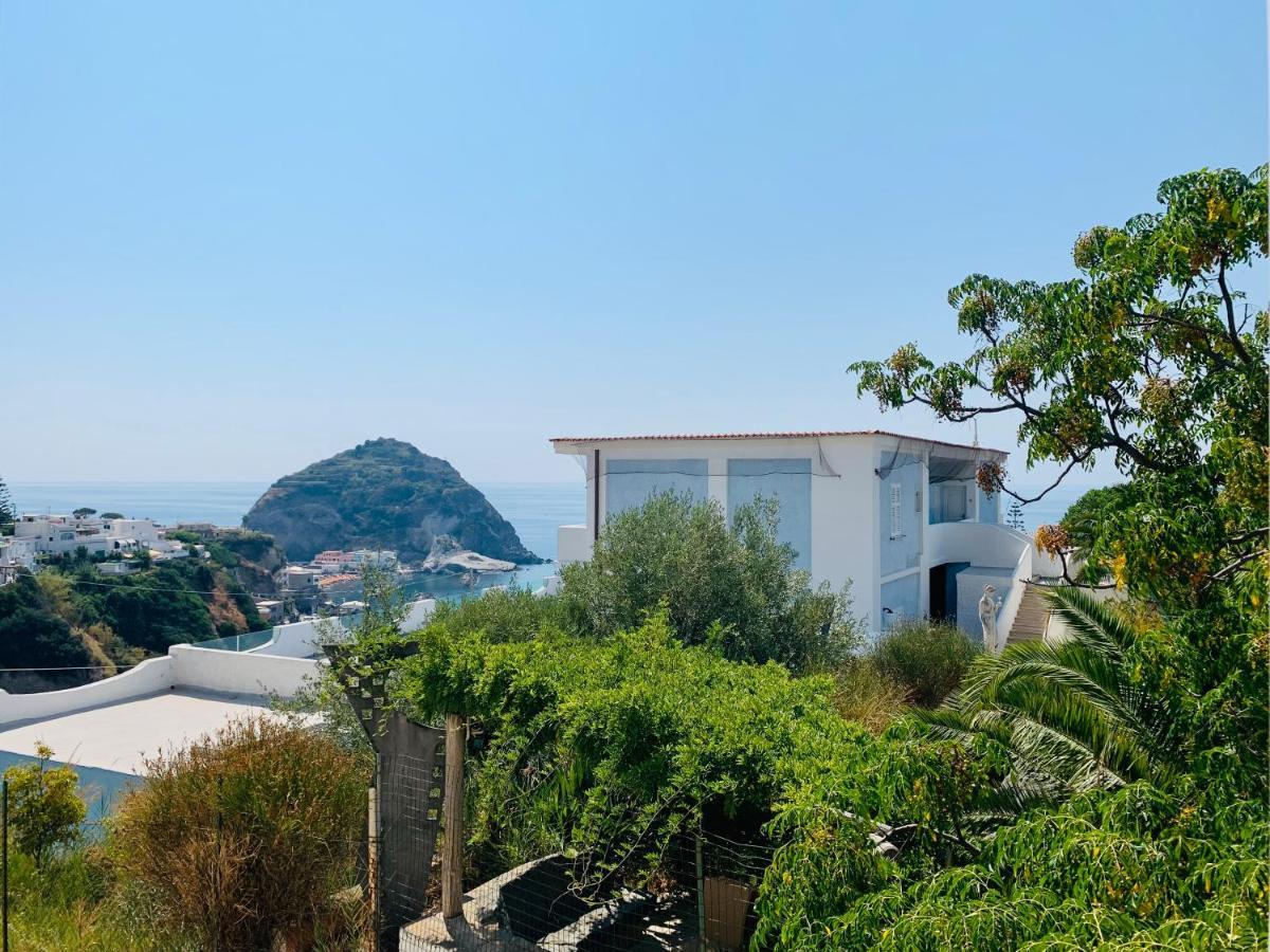 Pensione Casa Verde Sant'Angelo  Экстерьер фото